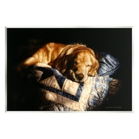 Stupell Industries Ugodni pas spavanje prekrivača životinja i insekti Slikanje bezbrojne umjetničke print zidne umjetnosti
