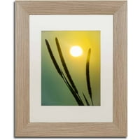 Zaštitni znak likovne umjetnosti 'Siluete u zalasku sunca' platno umjetnost Pipa likovna umjetnost, bijela mat, breza