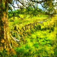 Digitalna slika sočne zelene trave u staroj zemlji iz mn
