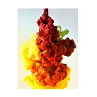 Rabih Shasha 'erupcije u boji' platno umjetnost