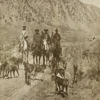 Predsjednik Theodore Roosevelt i drugi muškarci jašu na konjima s hrpom lovačkih pasa. L-R Povijest Predsjednika